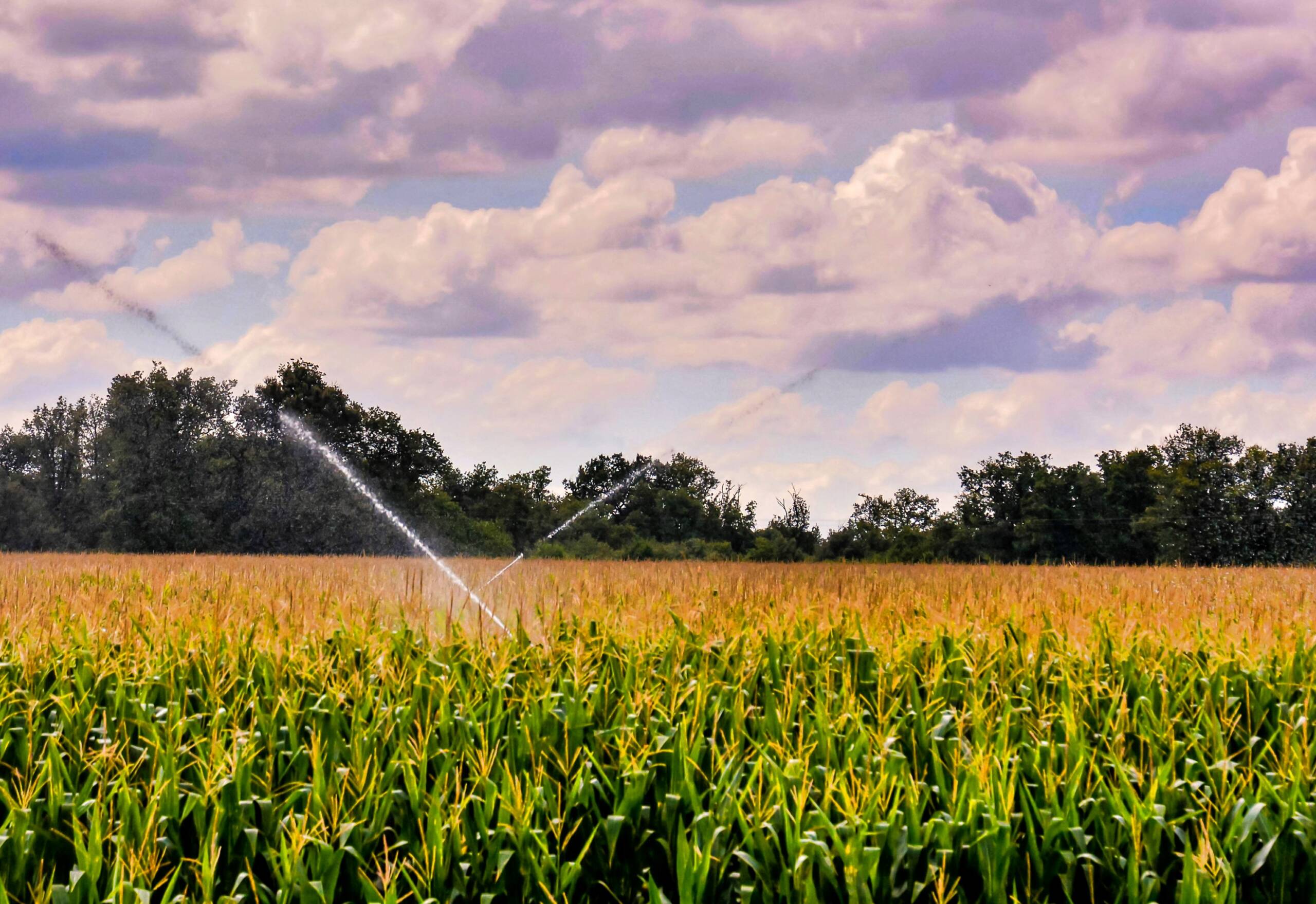 Irrigation Systems